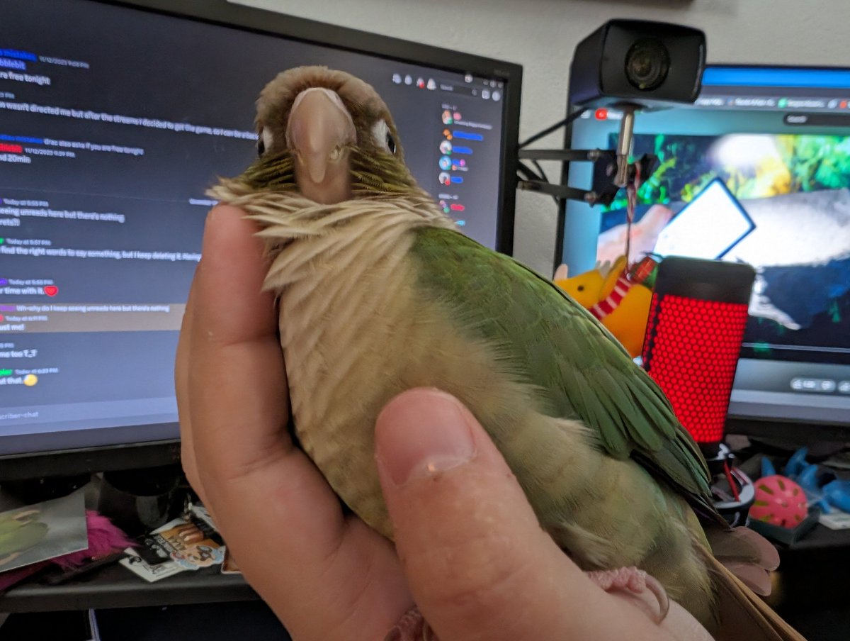 Chicken Pesto & Frens (@pesto_chicken) on Twitter photo 