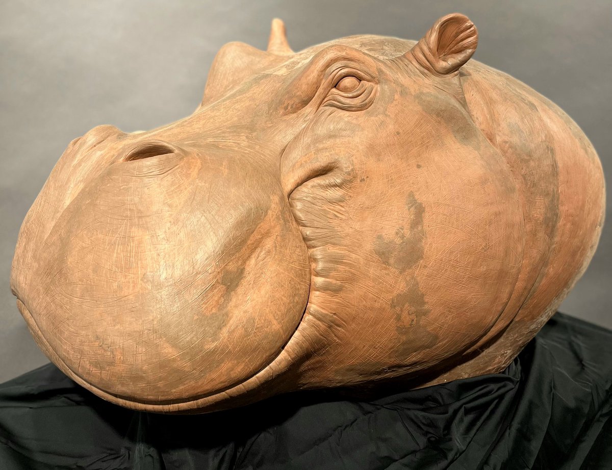 I really love hippos!! I made this life-sized #sculpture of one back in 2021-2022. It took me a while, but I was very proud. I think it looks better in black and white, because some of our shop's chavant clay is dark brown. In the color photo you can see the discrepancies!