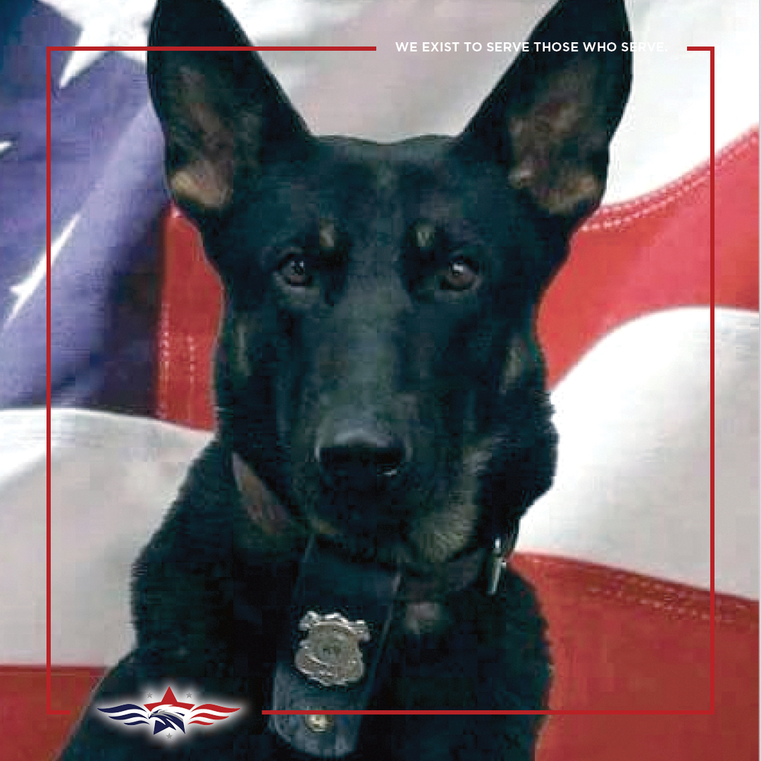 VFRFoundation's tweet photo. 🇺🇸 Our #military and #police K-9s are true heroes, and their well-being is a priority.

To learn more about the K-9 Guardian Award and how you can apply to honor your loyal K-9, visit >> https://t.co/0y6Gw6O7Ka

#K9GuardianAward #K9Heroes #SupportOurK9s #K9UnitSupport https://t.co/nOLUv23kPT