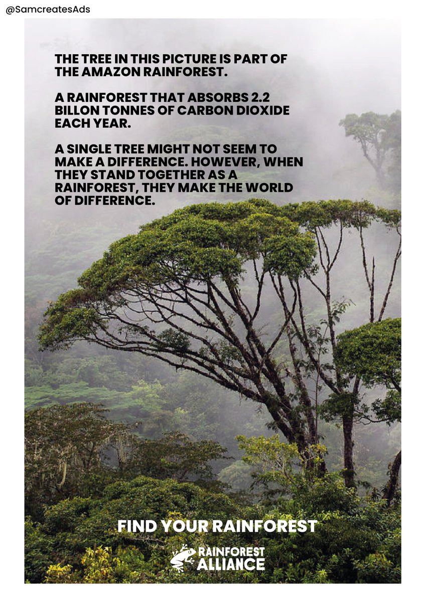 Redone the art direction on my <a href="/OneMinuteBriefs/">One Minute Briefs ⏱️</a> entry for The Rainforest Alliance because I wasn’t happy with the previous :) #WeAreAllIn