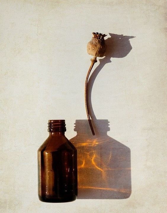 Oh, if only someone could figure out how to preserve memories, lock them in a bottle like perfume. So that they never run out of steam. Never faded. And when you want, you take out the cork and relive that moment.

"Rebecca"
Daphne du Maurier

#art #writer #photography