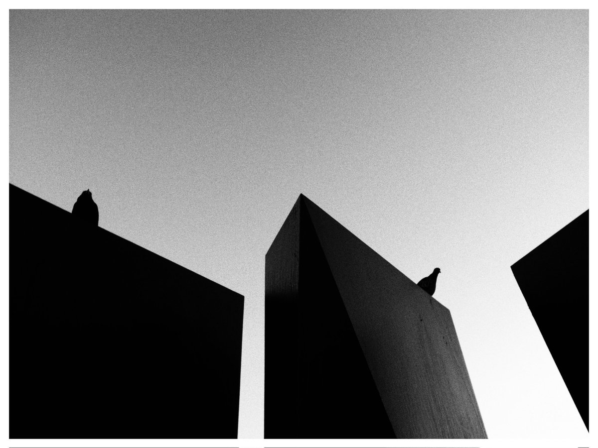p_sentementes's tweet photo. #blackandwhitephotography #streetphotographers #streetphotography #ricohgr #lubeck #highcontrast #dailysnaps https://t.co/Pexh9a7tNN
