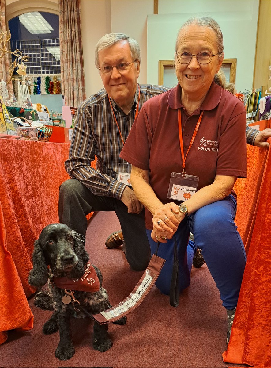 Ambassador Abney says .... I's been #outandabout doing my #bestest #meetingandgreeting at the #charitychristmascards shop at #macclesfield #library today 🐾🐕‍🦺  @VolTeamHDogs @HearingDogs #assistancedogs