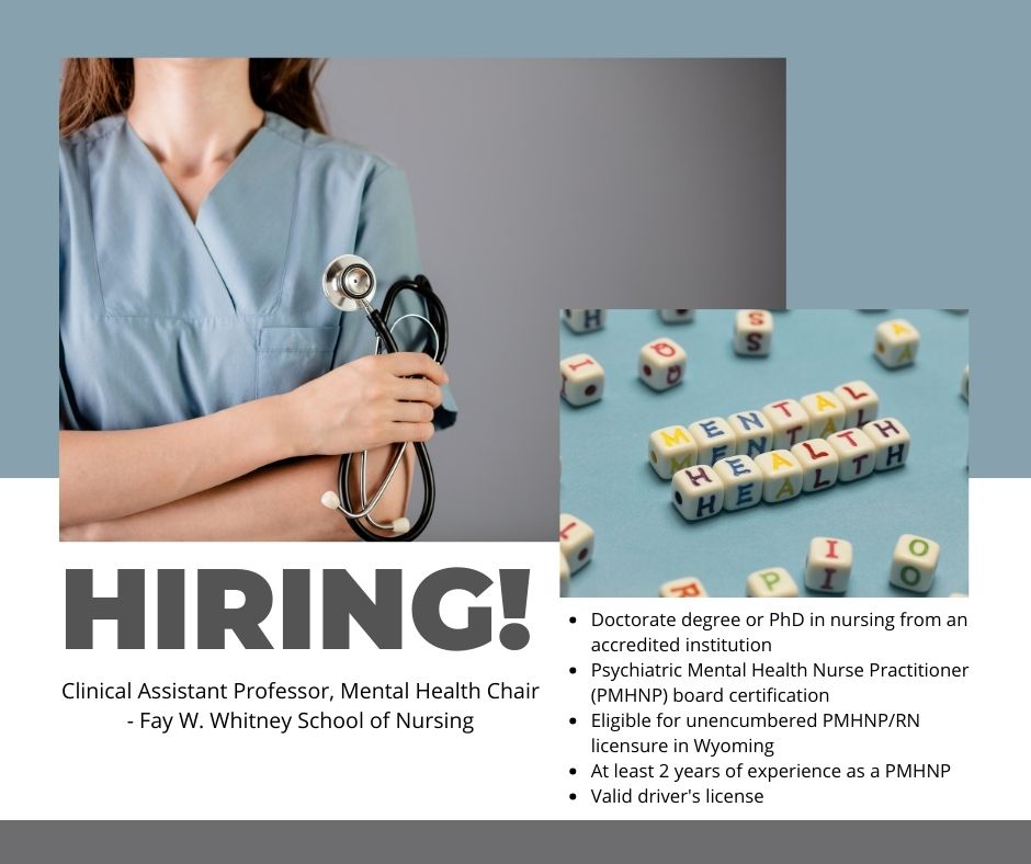 The University Fay W. Whitney School of Nursing is hiring for a Clinical Assistant Professor and Mental Health Chair. To learn more and apply, visit bit.ly/3SS6VO2.
