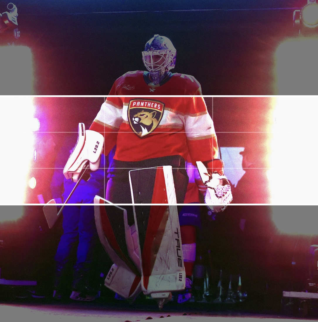 FlaPanthers tweet picture