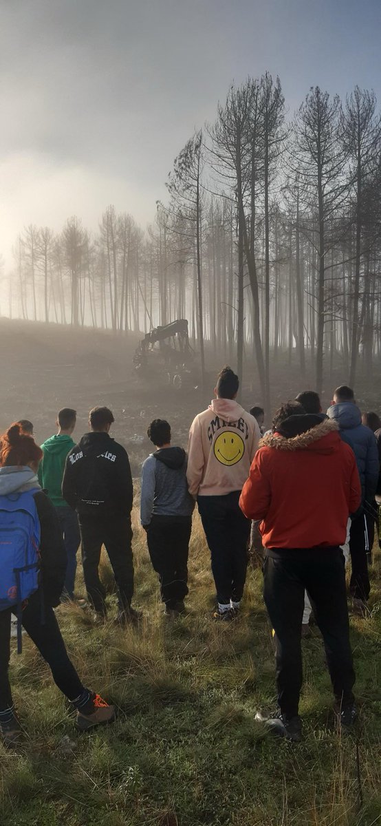 IESAlfonsoIX's tweet photo. Jornada de visita a la sierra de la culebra a ver procesadora, cargadora, medición de plantación y vehículos autobomba de extinción con los alumnos de Gestión Forestal y del Medio Natural. La niebla no nos dio tregua, pero disfrutamos de lo lindo!!!!! https://t.co/7TUBleCTCg