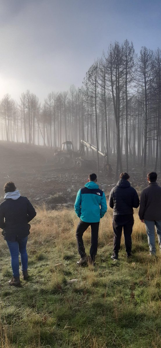 IESAlfonsoIX's tweet photo. Jornada de visita a la sierra de la culebra a ver procesadora, cargadora, medición de plantación y vehículos autobomba de extinción con los alumnos de Gestión Forestal y del Medio Natural. La niebla no nos dio tregua, pero disfrutamos de lo lindo!!!!! https://t.co/7TUBleCTCg