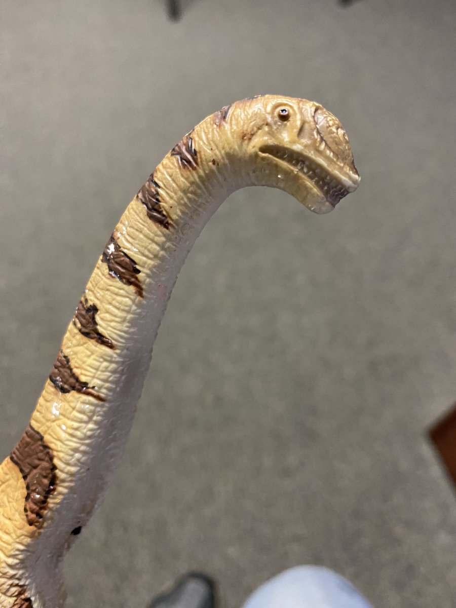 TM9380's tweet photo. A client at work found a bunch of old dinosaur toys, the standout to me being this 2002 Schleich Brachiosaurus… https://t.co/UT1UHbty2q