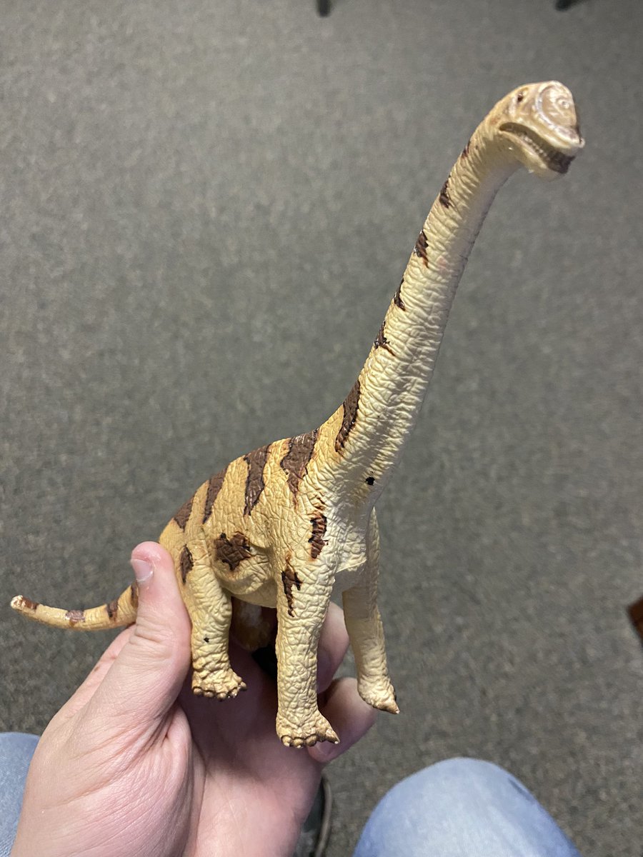 TM9380's tweet photo. A client at work found a bunch of old dinosaur toys, the standout to me being this 2002 Schleich Brachiosaurus… https://t.co/UT1UHbty2q