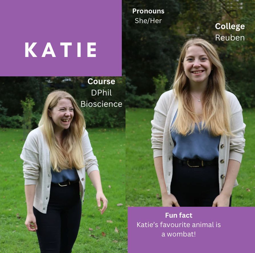 The Oxford Alternotives tweet media