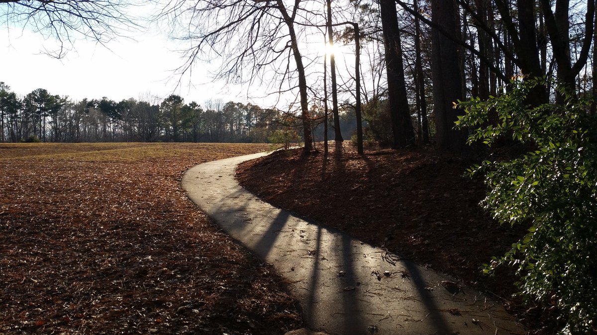 If you've never explored the trails at #BlueJayPoint County Park, what are you waiting for? 

Blue Jay Point's trails wind through the park and provide perfect fall views, even when the weather is NOT ideal ☔

 #YearOfTheTrail #WakeTrails #TrailTalk @WakeGovParks