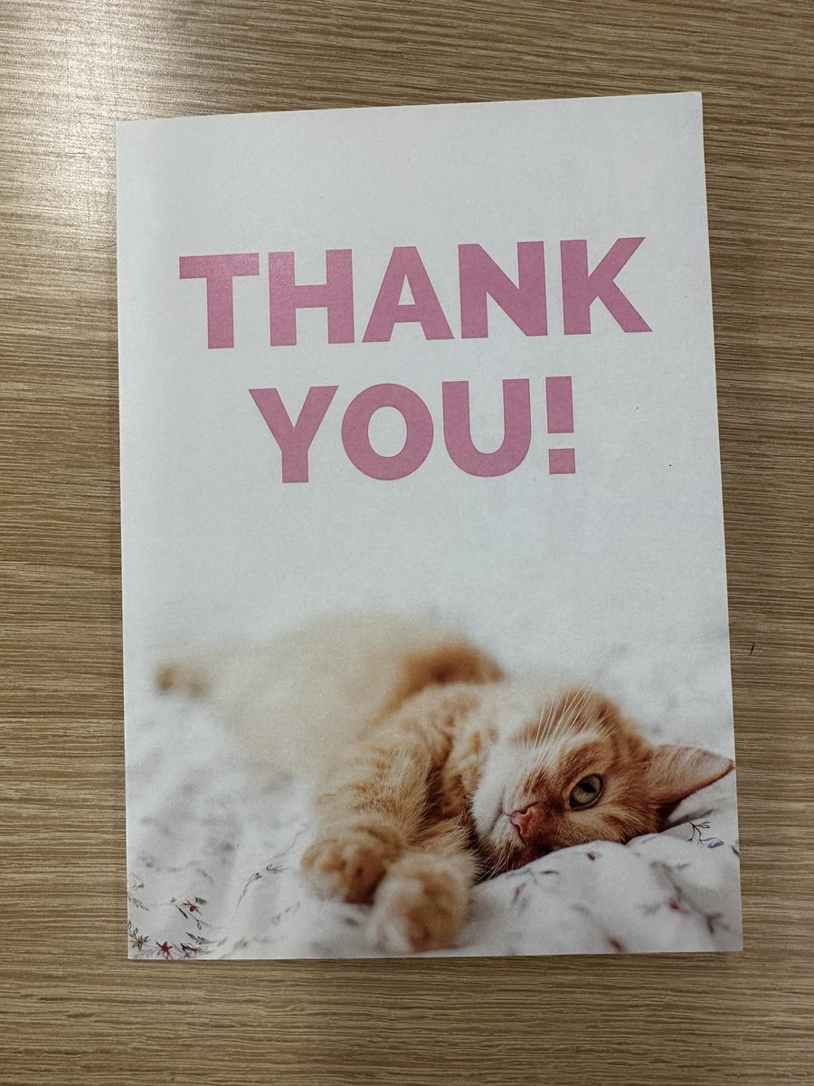 Sara Costa tweet media