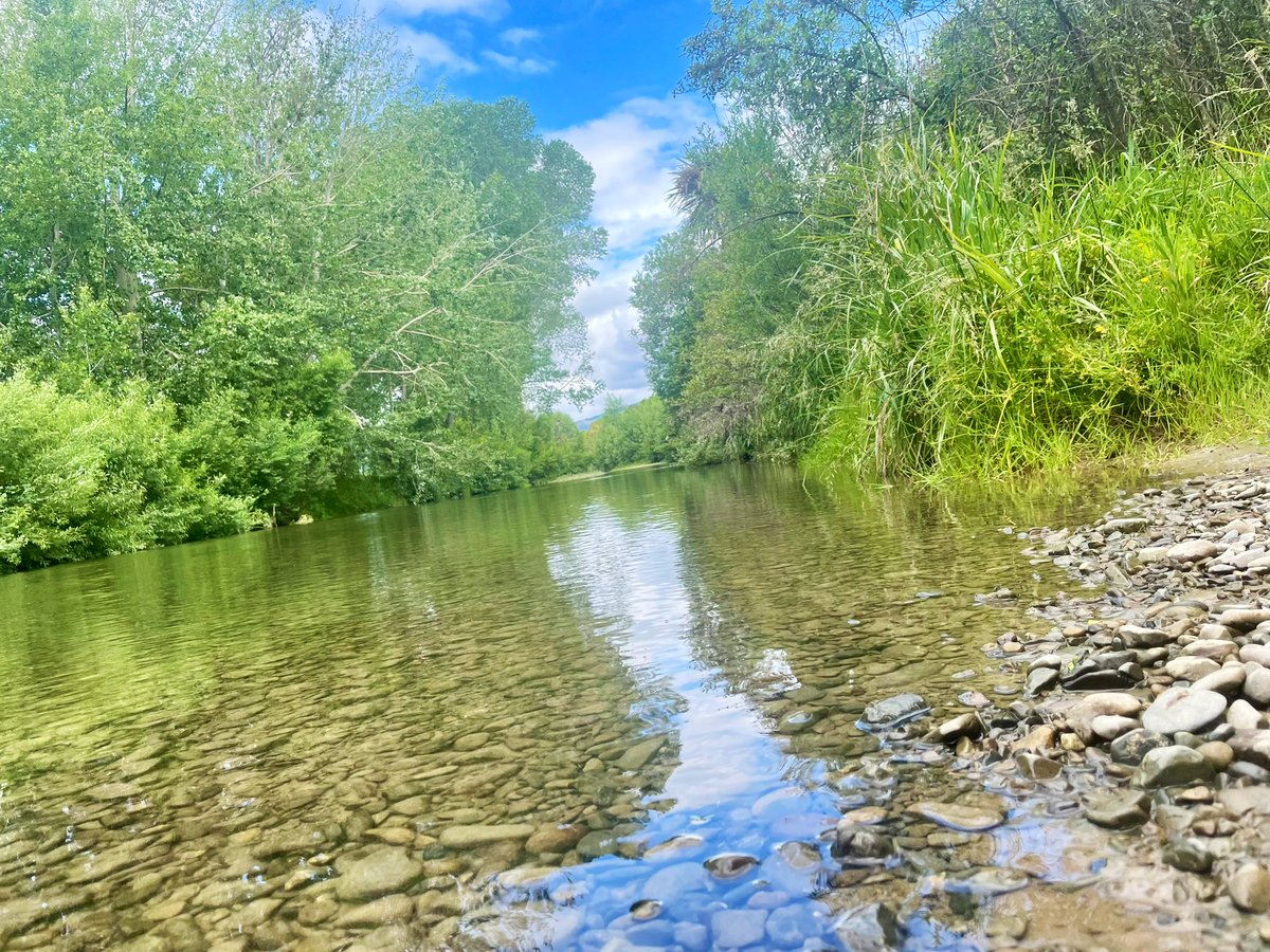 GerrieGreyling's tweet photo. Almost #summer strolling down the #Waikanae #river ⛅️😎 https://t.co/3psjTOzlql