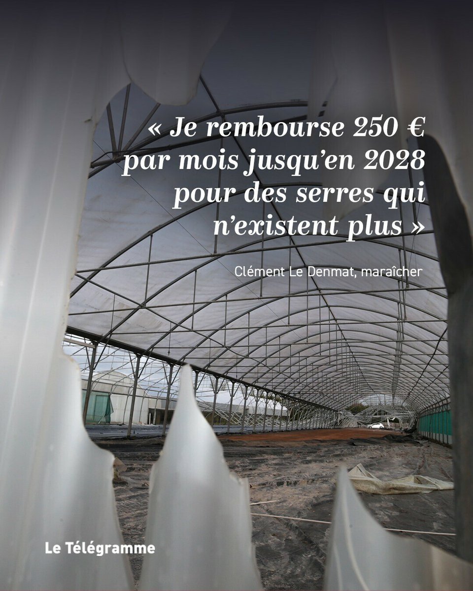 Le Télégramme tweet media