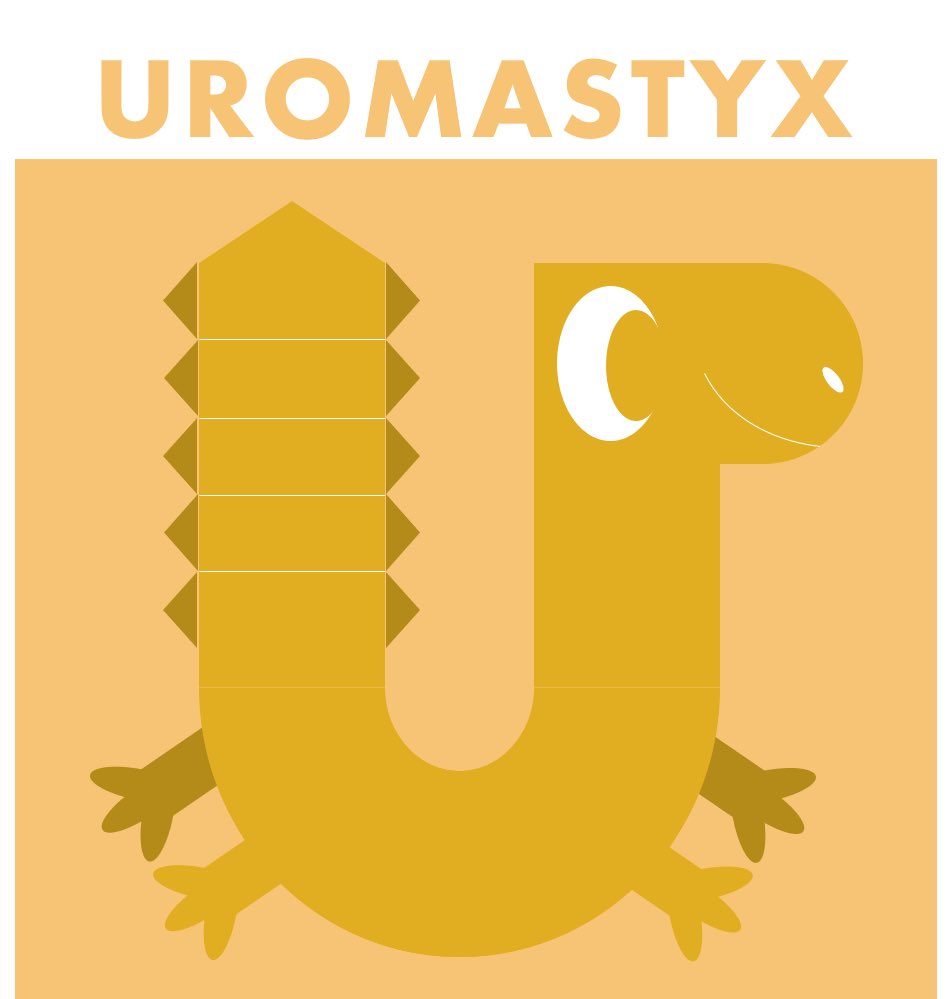 A Uromastyx in the shape of the letter U. I made him for my alphabet project.
@AnimalAlphabets 
#AnimalAlphabets