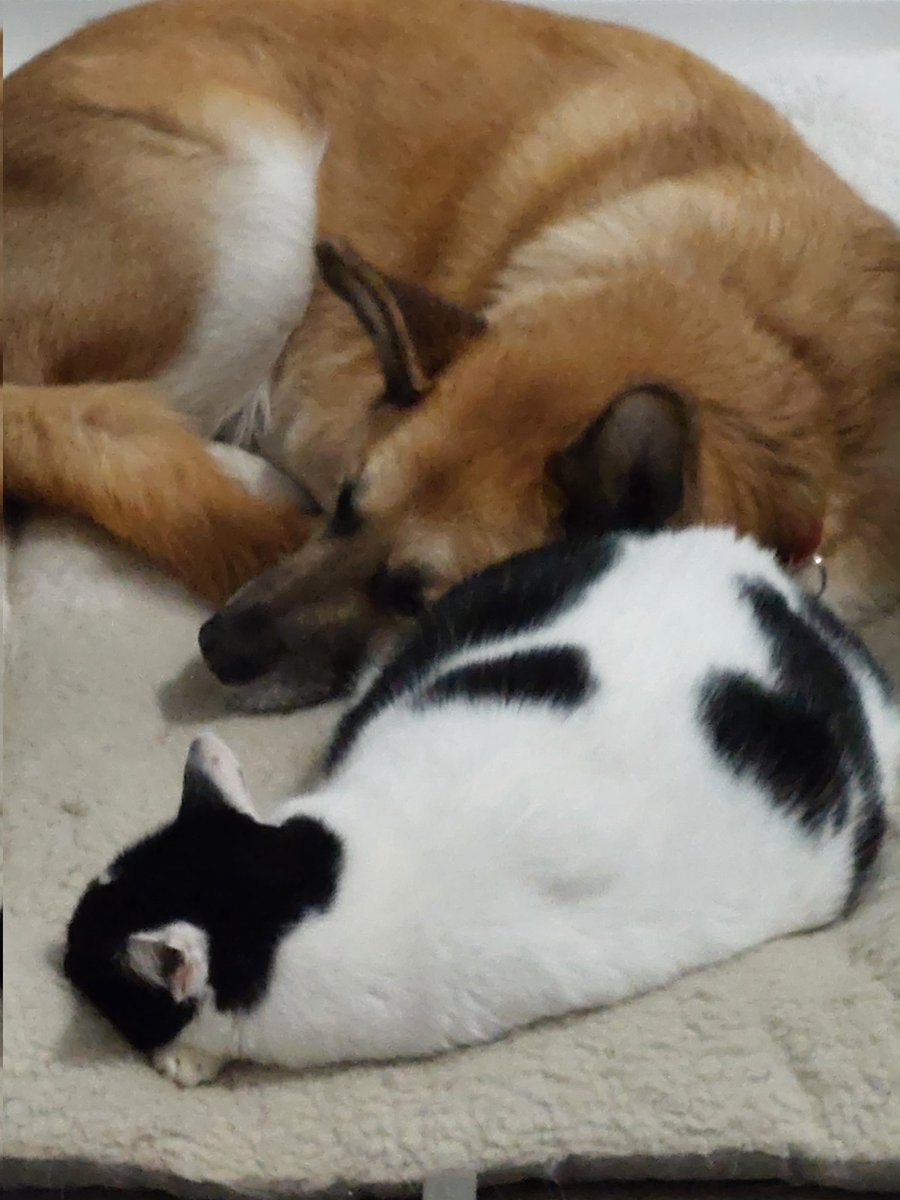 Prince warming up to Trip. Finally