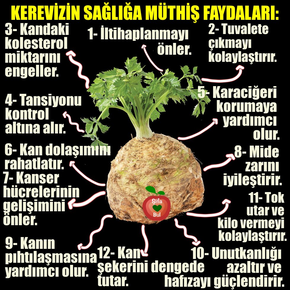 SifaBul's tweet photo. KEREVİZİN SAĞLIĞA MÜTHİŞ FAYDALARI:

#kereviz #kerevizinfaydaları #kerevizinsağlığafaydaları #sağlık #sağlıklıyaşam #sağlıklıbeslenme #sağlıkbilgileri #sağlıkhaberleri #faydalıbilgiler https://t.co/xXJLf8wSX6