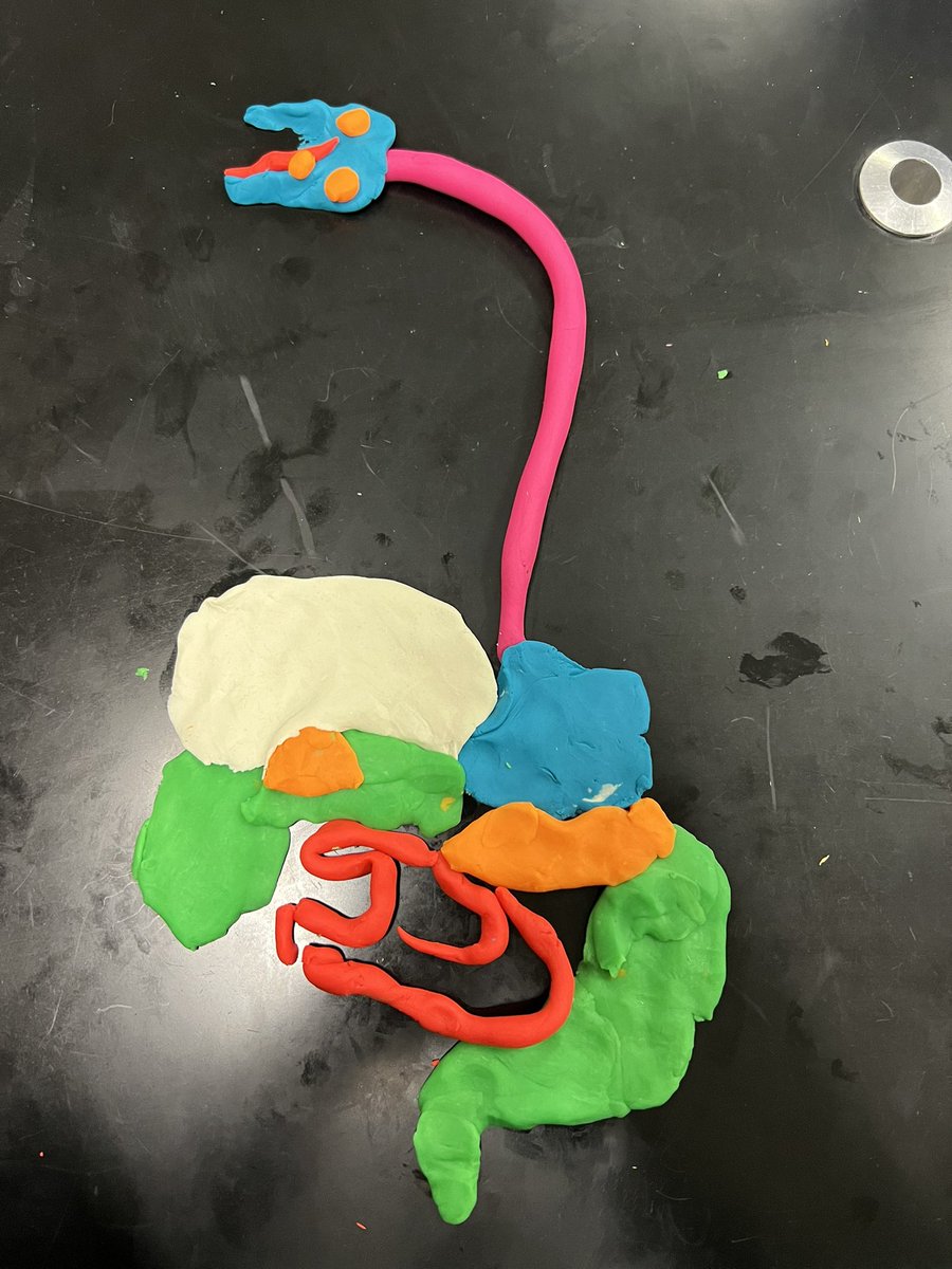 Modeling body systems for a great review of the unit.