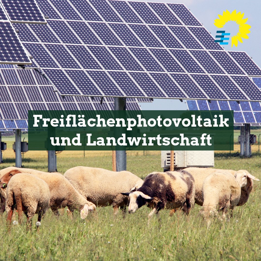 gruene_vrs's tweet photo. Neben der #Solaroffensive auf Dächern soll auch das Freiflächenpotential in der #Region ausgeschöpft werden. Dabei tritt landwirtschaftliche Nutzung häufig in Konkurrenz zur Energienutzung. Die Chancen einer Doppelnutzung geraten immer mehr ins Blickfeld. (1/4) https://t.co/tLoFhDv8R2