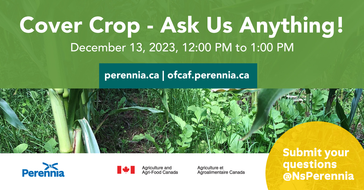 Whatever your questions about cover crops, we’ve got answers!  

Submit your questions for 'Cover Crop - Ask Us Anything!' on December 13th and register here: perennia.ca/eventer/cover-…

#CdnAg #OFCAF_NSNL @AAFC_Canada