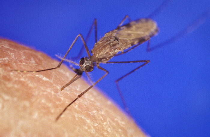 ISNTD_Press's tweet photo. 📢Don't miss #ISNTDClimate Session 4 broadening the lens on #climate and #health linkages to #soil health, #mosquito #repellents, #mentalhealth and #floods, with @NGDIUBC1 @UBC, @usask, @merckgroup, @erasmusmcintl and @mohbayelsa
👉Nov 22, 15.00 UTC
👉https://t.co/juaUlyu4uP https://t.co/JLCf3vumKi