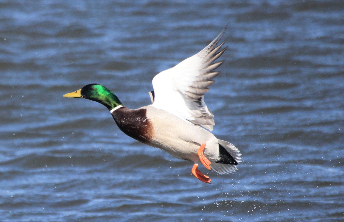 Follow the Water tweet media