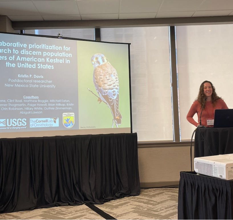 nmsu_fwce's tweet photo. Lots of presentations by FWCE folks this past month. For instance, FWCE students, postdocs &amp; faculty gave 15 talks at the annual meeting of The Wildlife Society in Louisville. Here are Scott Boyle, Sam Martinez, Kristen Davis &amp; Erica Christensen presenting their research https://t.co/V3oKbuDHfy