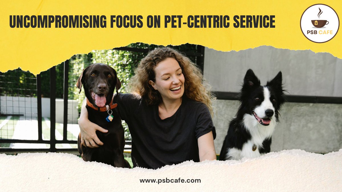Uncompromising focus on pet-centric service? ✔️
Heartwarming environment? ✔️ 
At PSB Cafe, we turn these promises into realities. Come for the coffee, stay for the inclusive and pet-friendly vibes! 🐾☕ 

Website:  hubs.la/Q029F9qy0

#InclusiveCafe #PetFriendly #CafeCulture