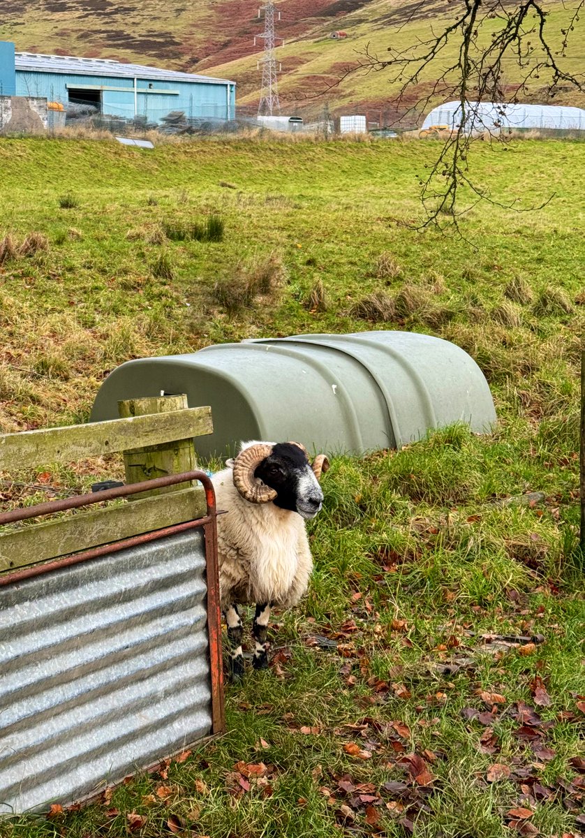 Amy_Lauren_'s tweet photo. More #FieldworkFriends! @JamesHuttonInst https://t.co/IwXt3b5EXi