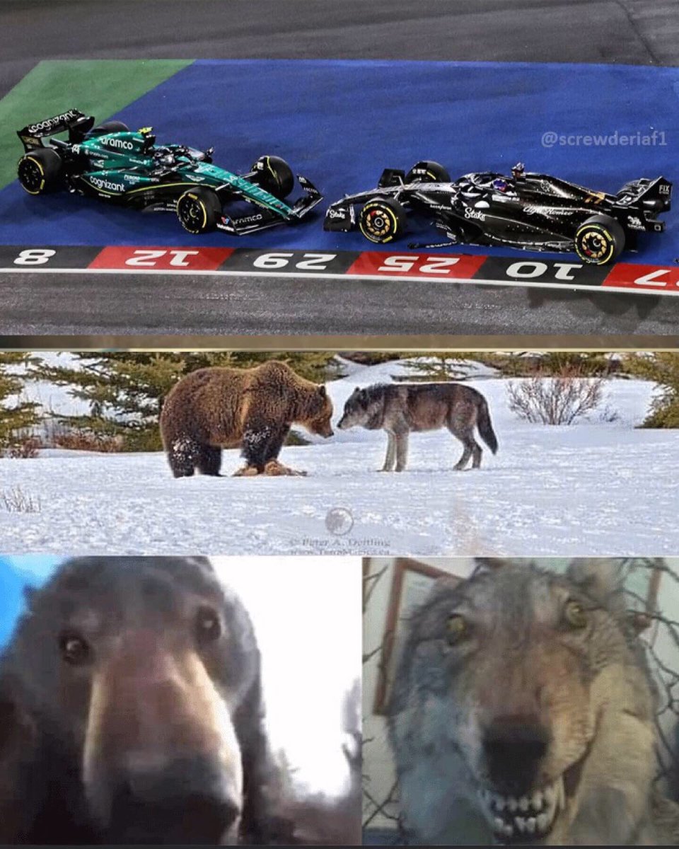 f1trollofficial tweet picture