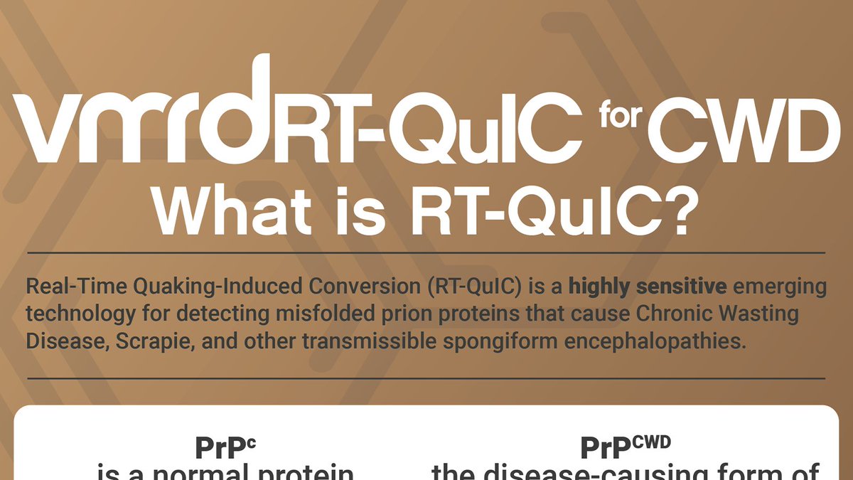 ow.ly/riP750Qa0PC

What is RT-QuIC? We've created yet another handy infographic to help you understand the process. Check it out and tell us what you think!

#vmrd #CWD #chronicwastingdisease #prions #deerhealth