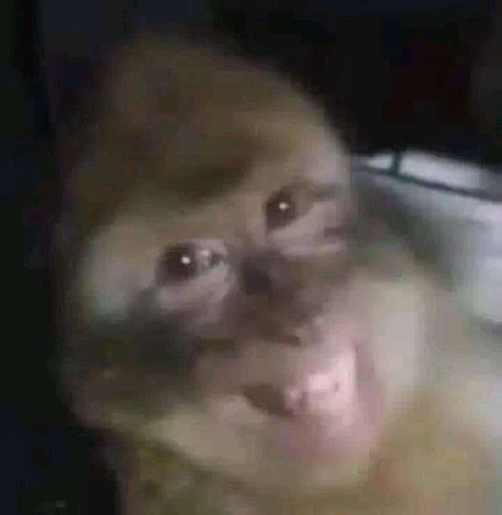 divinetiny's tweet photo. me when y’all like my posts https://t.co/sa0p2UvDx4