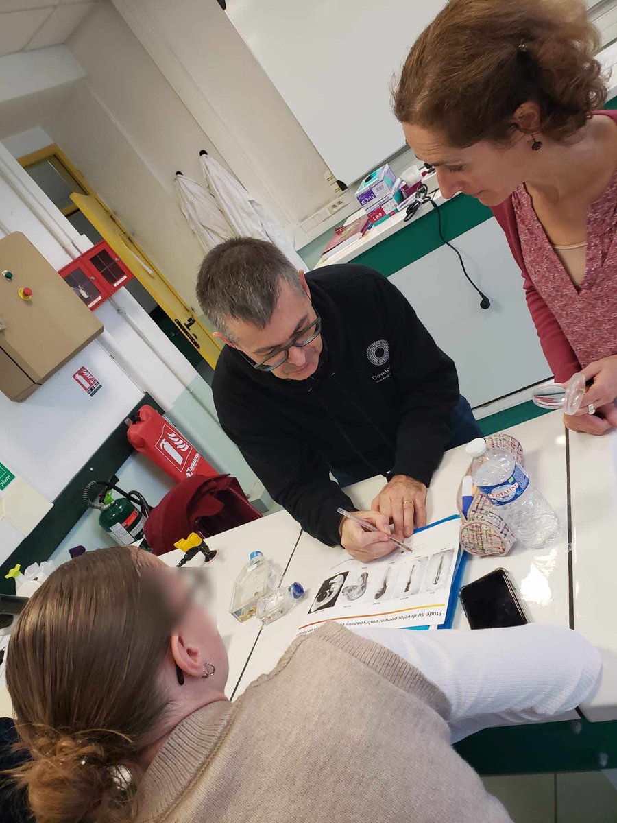 Genopolys tweet media