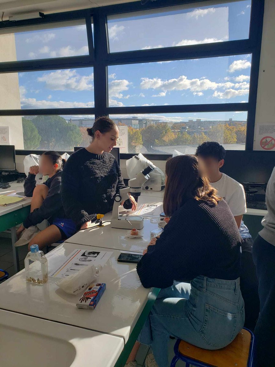 Genopolys tweet media