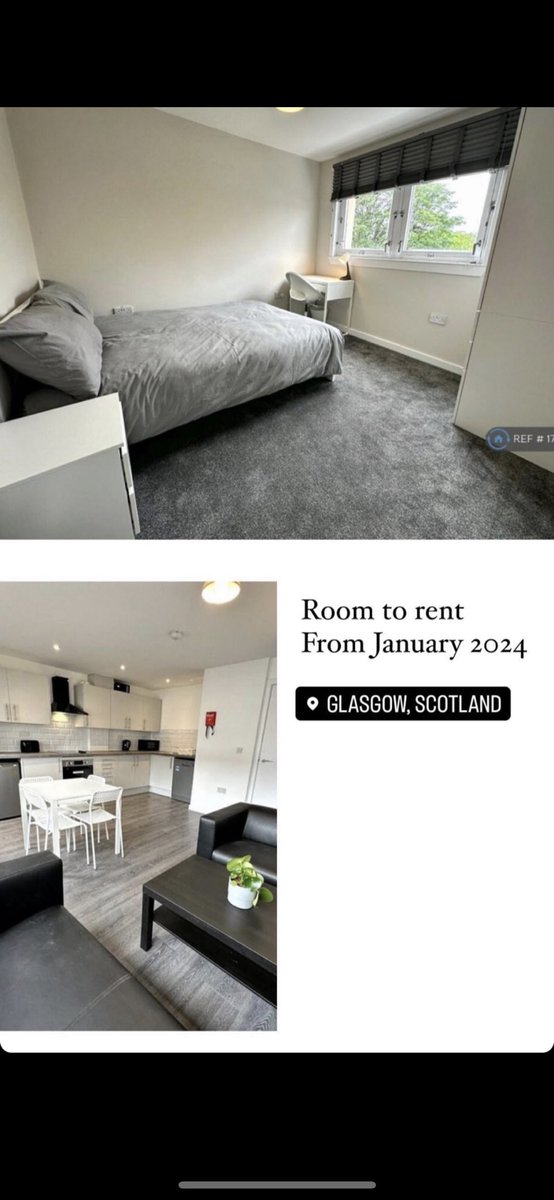 JasmineCookACT's tweet image. PLEASE SHARE🫶
looking for a new flatmate for our 4 bedroom flat! message for more details x