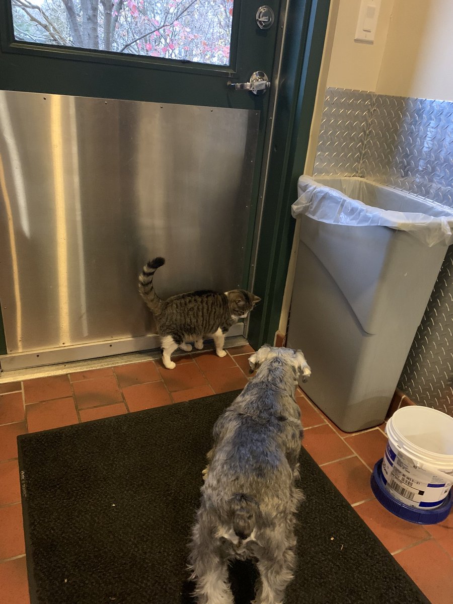 Oliver Holcomb tweet media