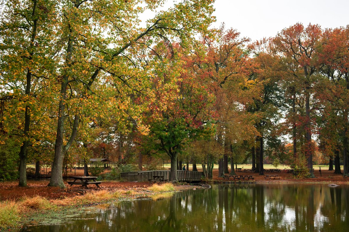 JohnCarneyDE's tweet photo. It's a great day to get outside and explore one of our award-winning @DEStateParks.
Entrance fees are waived at all #DEStateParks and the @BrandywineZoo on Friday, November 24th.
#OptOutside @DelawareDNREC https://t.co/CJoQkmQ50M