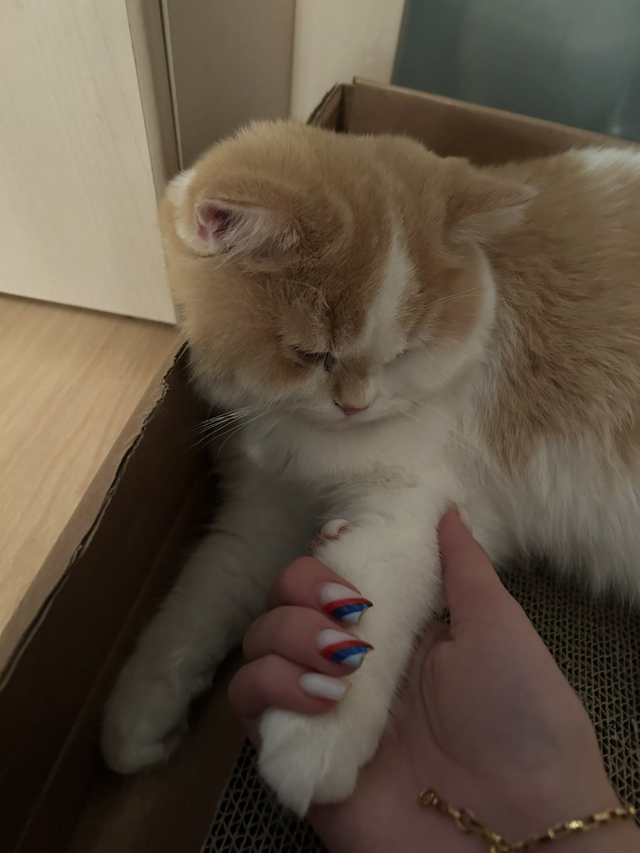 WS Valentina tweet media