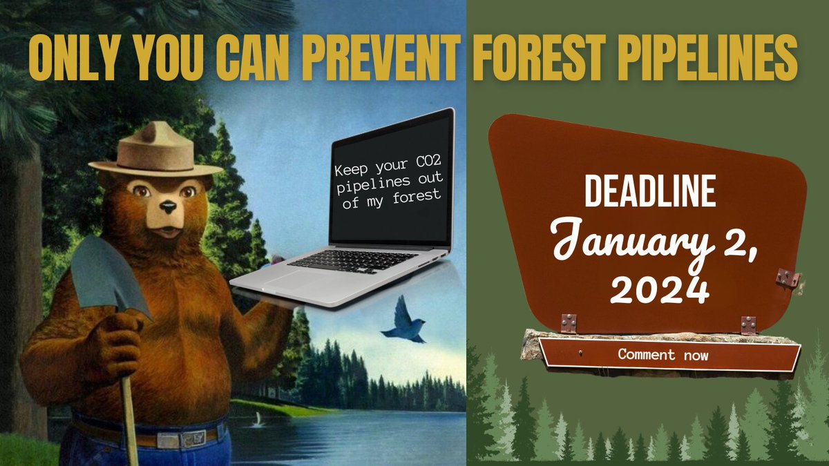 📢 Carbon waste dumping in forests = more CO2 pipelines and deadly risks to people & wildlife.
Please tell the @forestservice to ditch its #CarbonDumpingScheme. 
#ProtectOurForests
COMMENT here, before January 2, 2024 biodiv.us/3SFv3mP
