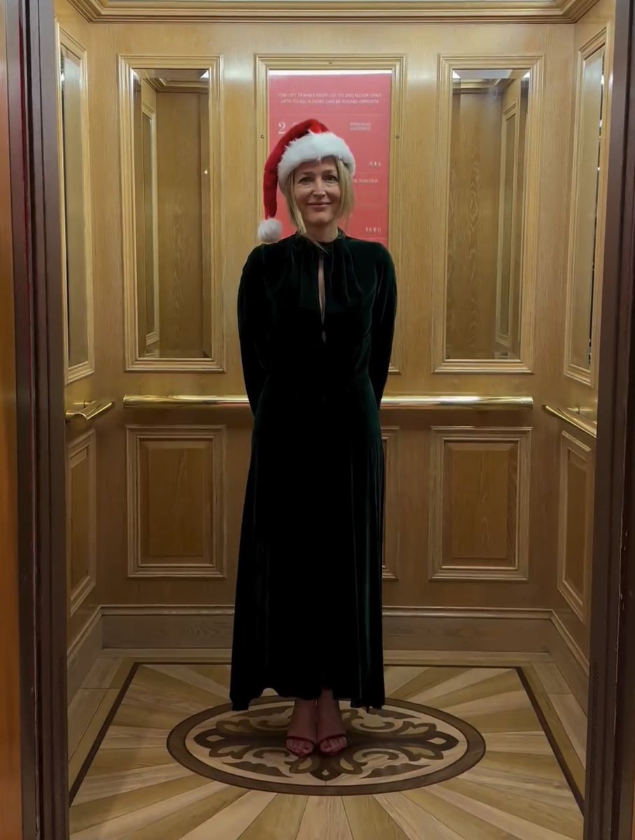 sophgbson's tweet photo. all i want for christmas is gillian anderson https://t.co/6qPdYuv9o8
