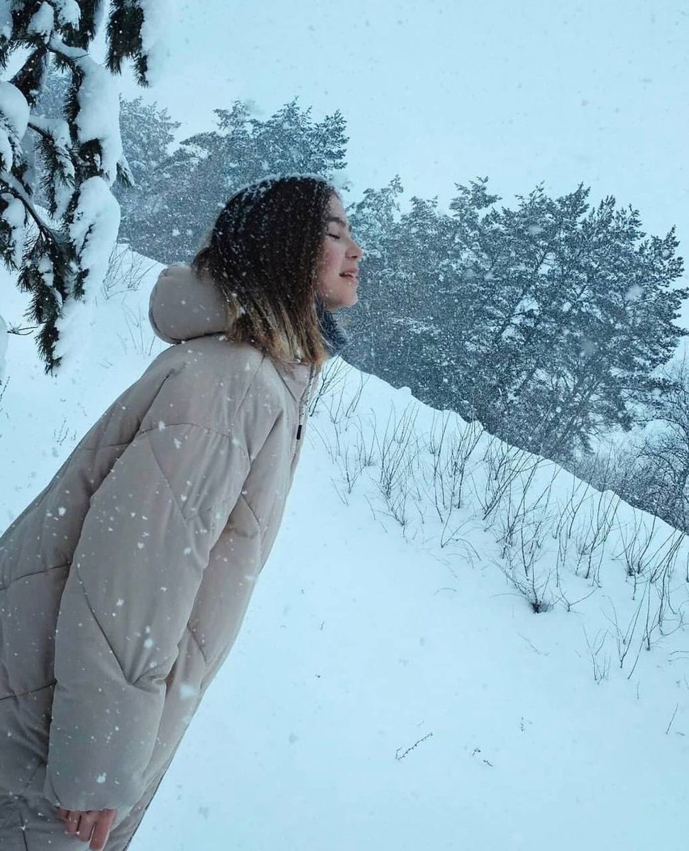 avanexa's tweet image. 