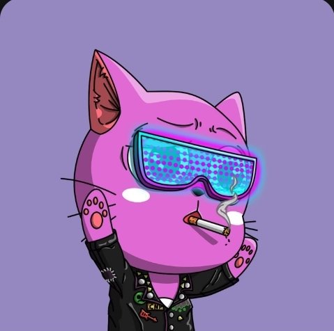 🐈 MULTI WEENER GIVEAWAY 🐈 
#NFTGiveaway #Giveaways 
🔥 Will you be a weener? 👌🎁

1st - <a href="/Catnopia/">Catnopia</a> #229
2nd - <a href="/Catnopia/">Catnopia</a> #4577

To Enter ⬇️
1️⃣ Like ❤️ Repost 🔄 w/🔔 on
2️⃣ Follow <a href="/MaphiaTv/">Phat Taco</a> &amp; <a href="/Catnopia/">Catnopia</a>
3️⃣ Join discord: n tag a fren discord.com/invite/nv97ZpWd
Drawn in 48hrs ☘️