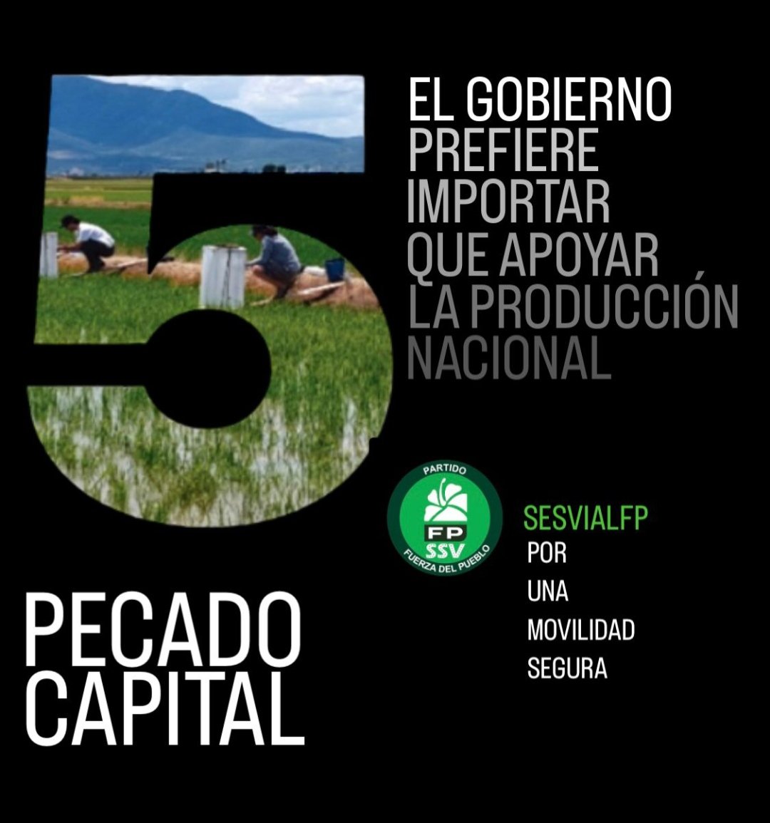 SesVialFp Stgo. Circ.#3 tweet media