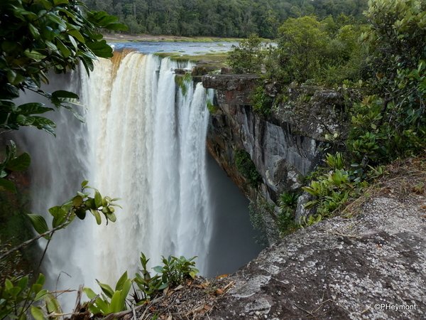 #Guyana's Spectacular #KaieteurFalls #ttot

TravelGumbo archives
By Travelers, For Travelers

travelgumbo.com/blog/guyana-s-…