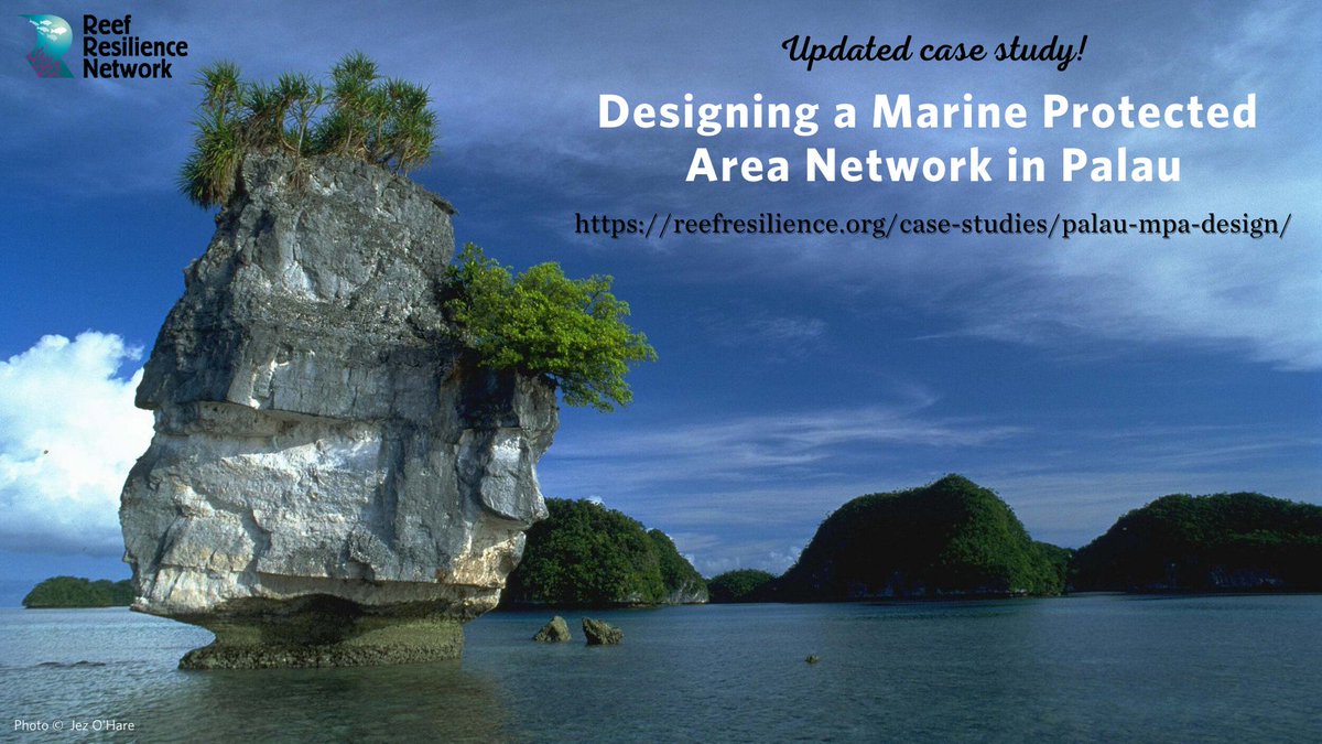 🔆 Learn how Palau’s network of #marineprotectedareas &amp; funding available to support them has expanded since action was taken by Palau National Congress in 2003:  reefresilience.org/case-studies/p… #reefresilience #MPAdesign #reefrecovery #greenfee
