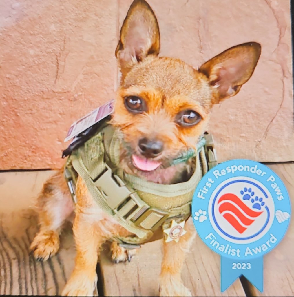 LASD Compton Station tweet media