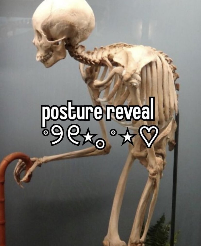 northstardoll's tweet image. 