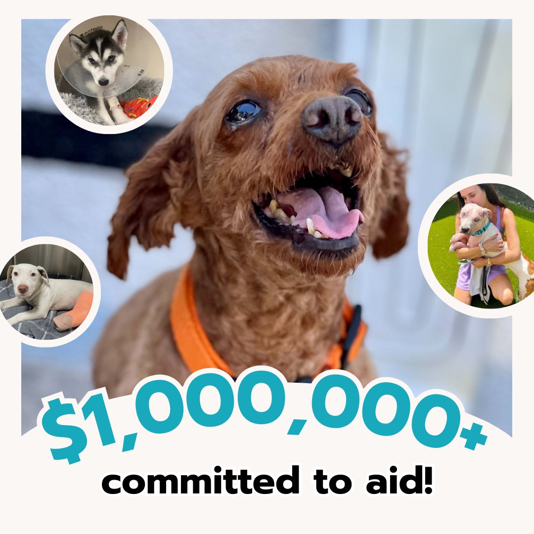 15/10 Foundation tweet media