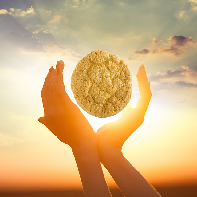 Staufferscookie's tweet photo. Feeling gratitude for the light of my life. https://t.co/qhc3Gb8Nb4