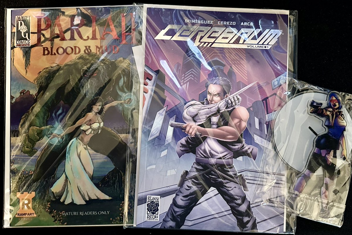 Jim__Cox's tweet photo. #comicsgatedelivers and B Rose has a nice box. Now to read Sarah Bum since it starts with a C….         #Same100 https://t.co/eTgEtB34qL
